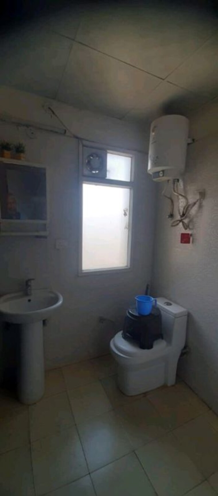 Bathroom, ace-platinum 1 Bedroom 700 Sq.Ft. Apartment In Zeta I Greater Noida Greater Noida 10375869