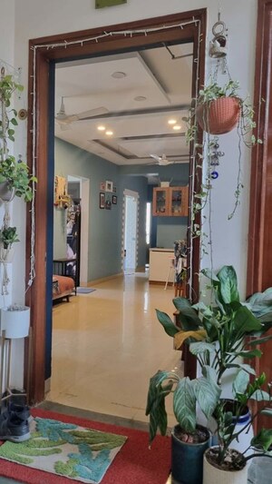 Living Room in 3 BHK Apartment at Emaar Emerald Estate, Sector 65 – for Rent