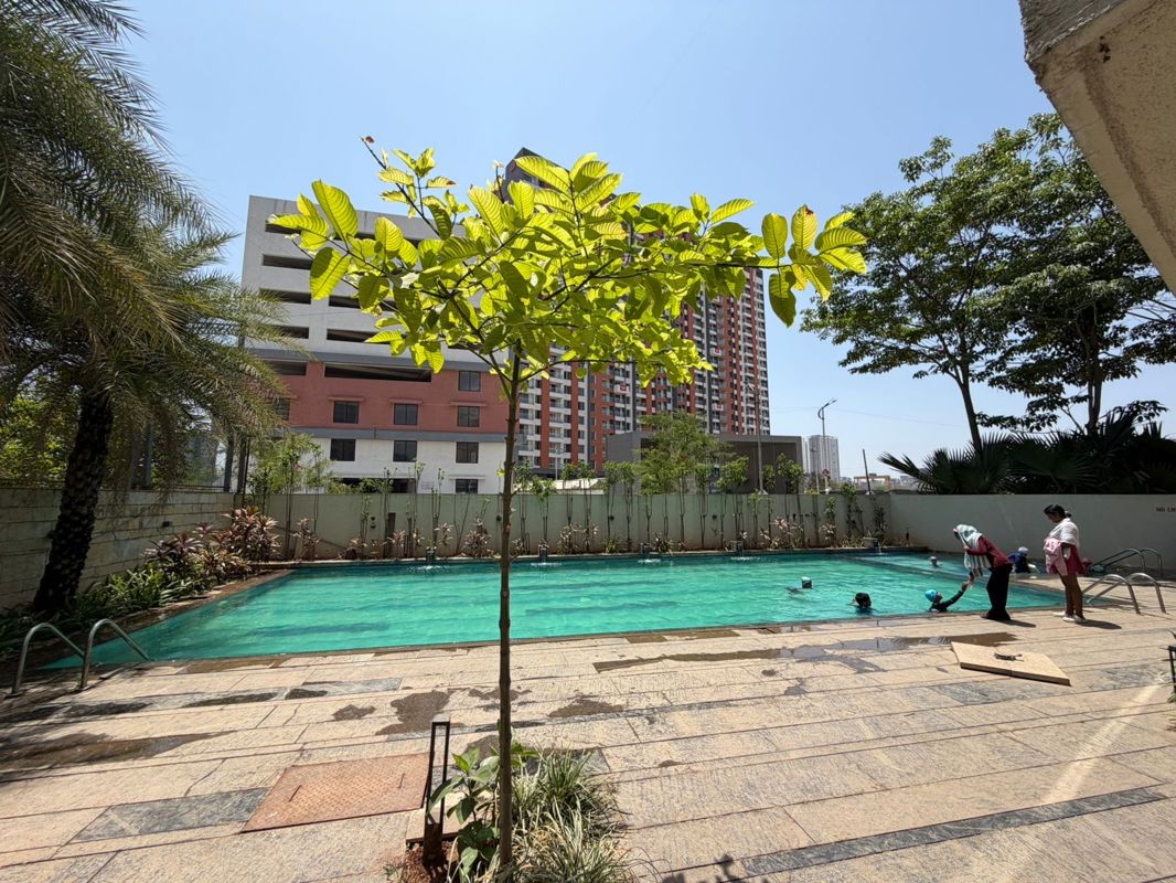 3 BHK + Study Room,Extra Room,Basement,Store Room Apartment For Rent in Kohinoor CHS