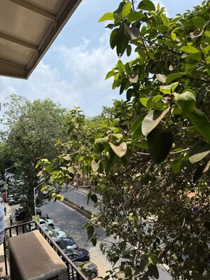 3 BHK Apartment – Garden View at Churchgate - for Sale