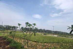 Plot Area in  Plot at Model Town – for Sale
