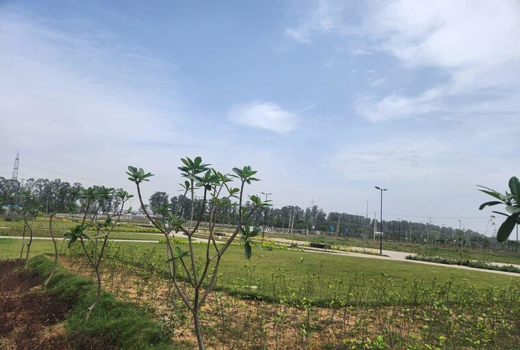 undefined, model town  157 Sq.Yd. Plot In Model Town Jhajjar 10376426