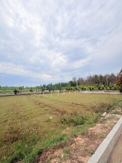 Plot For Sale in Biharigarh