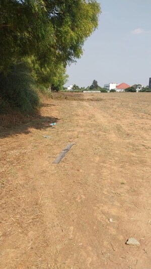 Plot Area in  Land at Devanahalli – for Sale