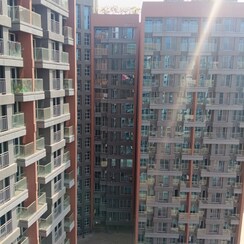 2 BHK Apartment For Rent in Wadhwana Blu Pearl