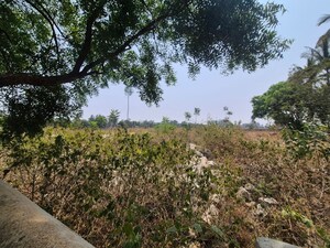 Plot Area in  Plot at Sadahalli – for Sale
