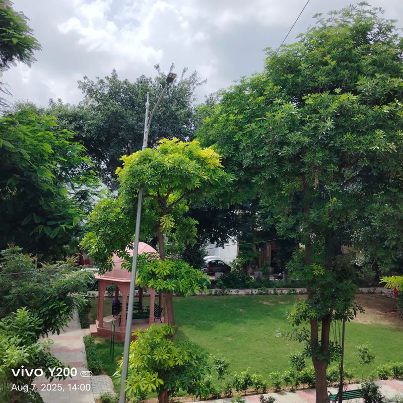 1 Rk  + Pooja Room 110 Sq.Ft. Builder Floor in Kohli One Malibu Town Plot