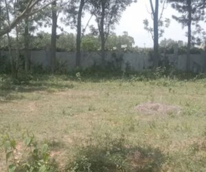  Land For Sale in Jalahalli