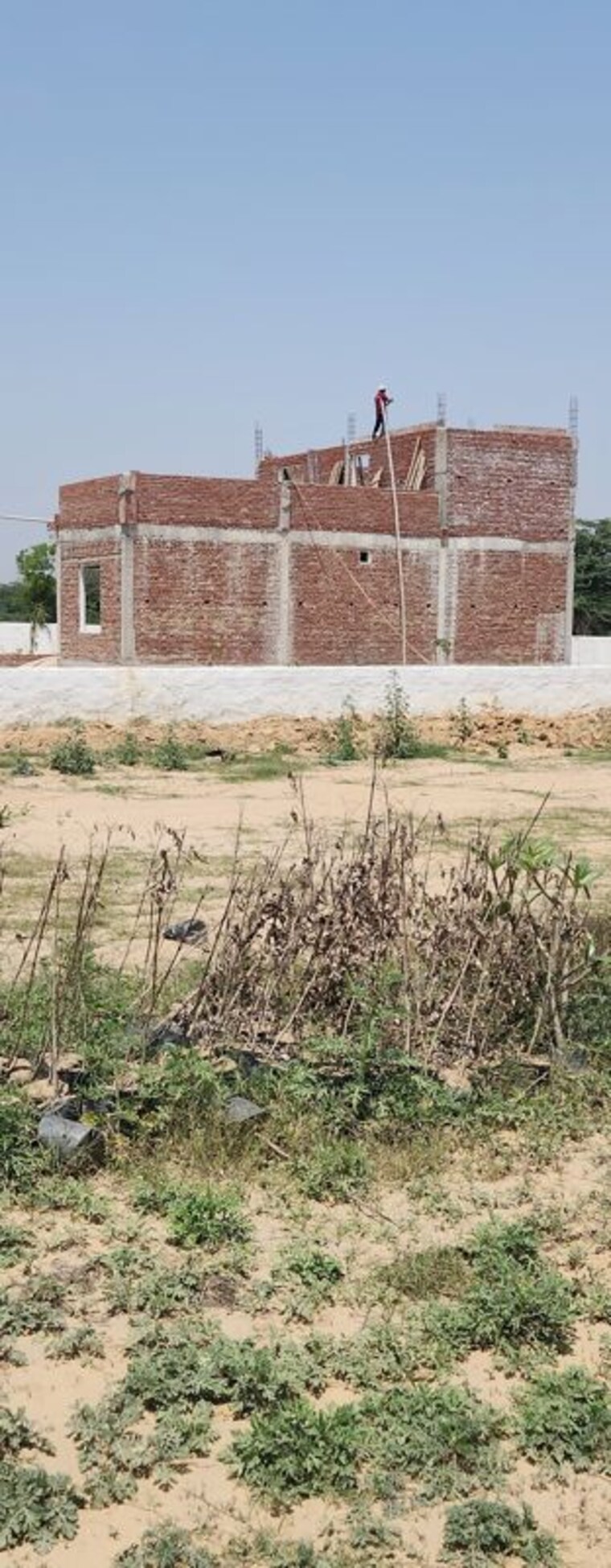undefined, bernard-homes  100 Sq.Yd. Plot In Sector 17a Yamuna Expressway Greater Noida 10377078