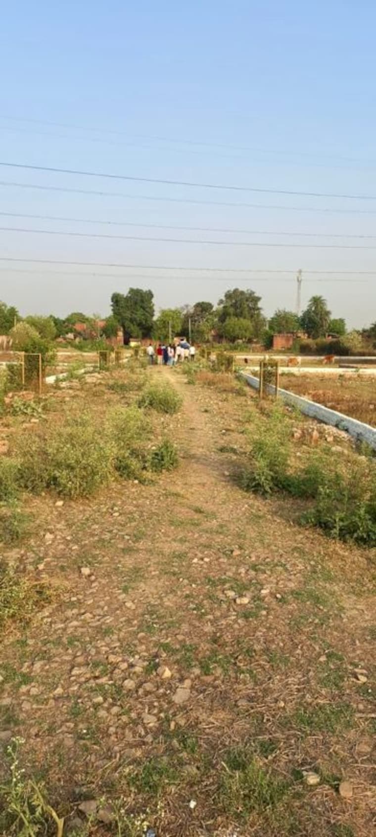undefined, mohanlalganj  1000 Sq.Ft. Plot In Mohanlalganj Lucknow 10377123