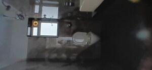 2 BHK Apartment For Rent in Swastik Tulip, Vikhroli East