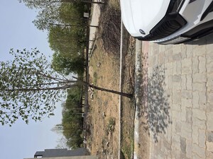  Plot For Sale in Shyam Nagar