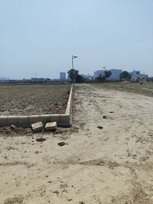 Plot Area in  Plot at ACE Parkway, Sector 150 – for Sale