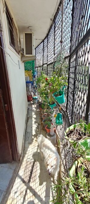 Balcony in 2 BHK Builder Floor at Mehrauli – for Sale