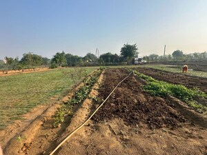 Plot Area in  Plot at Baliawas – for Sale