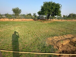 Plot Area in  Plot at Baliawas – for Sale