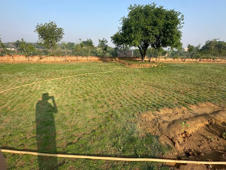 undefined, baliawas  2420 Sq.Yd. Plot In Baliawas Gurgaon 10377284