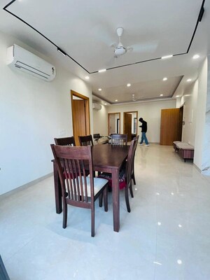 3 BHK Builder Floor For Rent in Sector 42