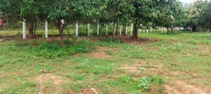 Plot Area in  Plot at Pedathadivada – for Sale