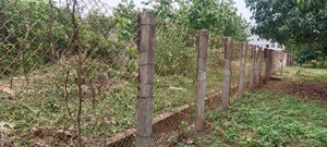 Plot Area in  Plot at Pedathadivada – for Sale