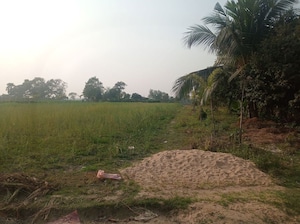 Plot Area in  Plot at Kalikapur Rajpur Sonarpur – for Sale