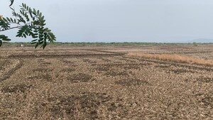 Plot Area in  Plot at Pen – for Sale