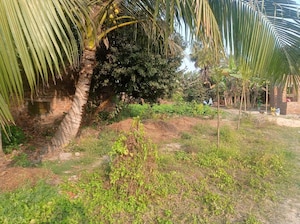  Plot For Sale in Kolkatta Gpo