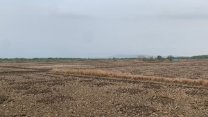  Plot For Sale in Uran