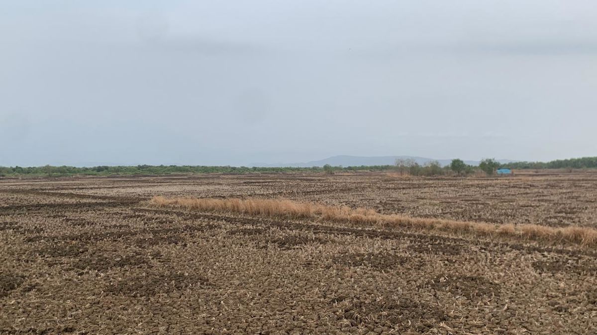 Plot For Sale in Uran