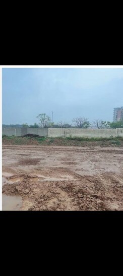 Plot For Sale in Sector 77