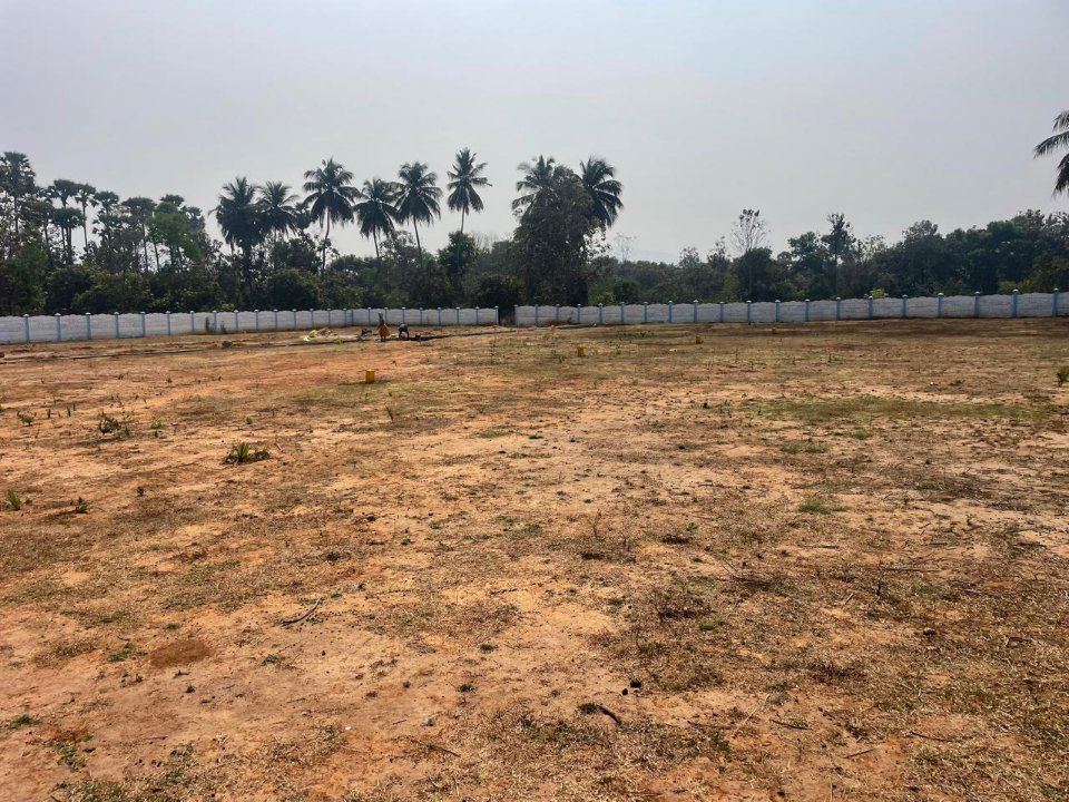 Plot For Sale in Kothavalasa
