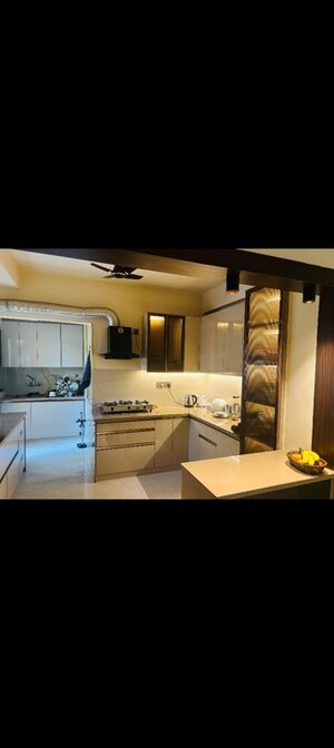 Team Area in 3 BHK Builder Floor at Bathola – for Sale
