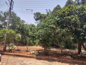 Plot Area in  Plot at Devaryamjal – for Sale