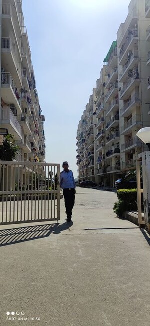 3 BHK Apartment – Exterior View View at KLJ Platinum Heights, Sector 77 - for Sale