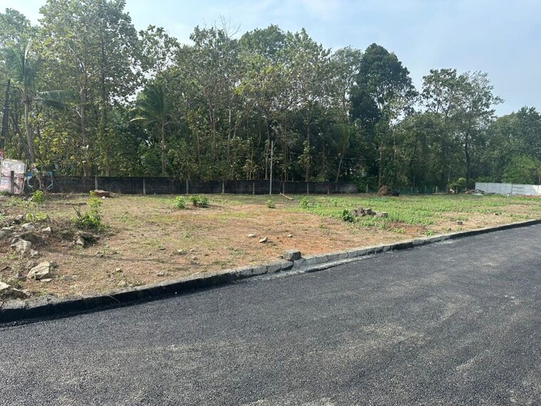 undefined, athani  2178 Sq.Ft. Plot In Athani Thrissur 10378412