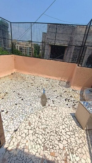 Terrace in 1 BHK Apartment at Bandra West – for Rent