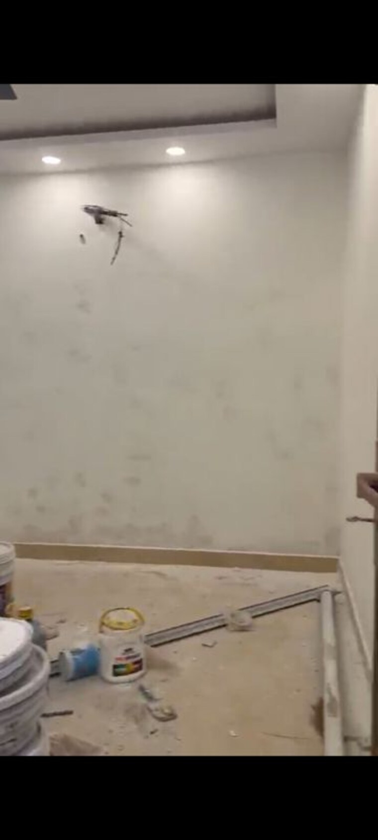 undefined, govindpuri 2 Bedroom 80 Sq.Yd. Builder Floor In Govindpuri Delhi 10363514