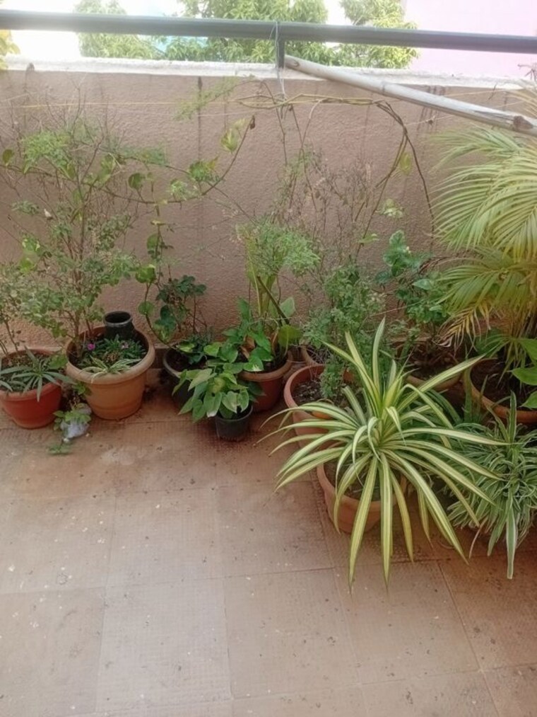 Garden, magarpatta-city-cosmos 2 Bedroom 850 Sq.Ft. Apartment In Magarpatta Road Pune 10378944
