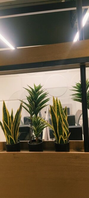 Gym in  Office Space at Netaji Subhash Place – for Rent