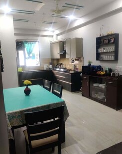 3 BHK + Pooja Room Builder Floor For Rent in Sector 46