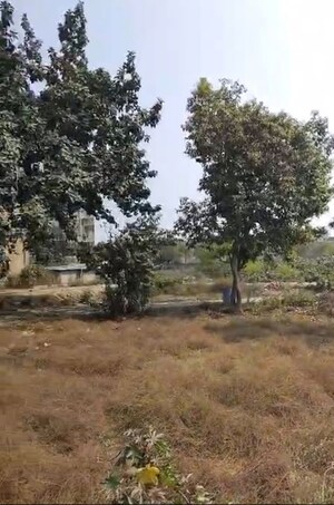 Plot Area in  Plot at Raj Nagar Extension – for Sale