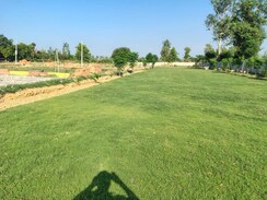 Plot For Sale in Vidhi Estate
