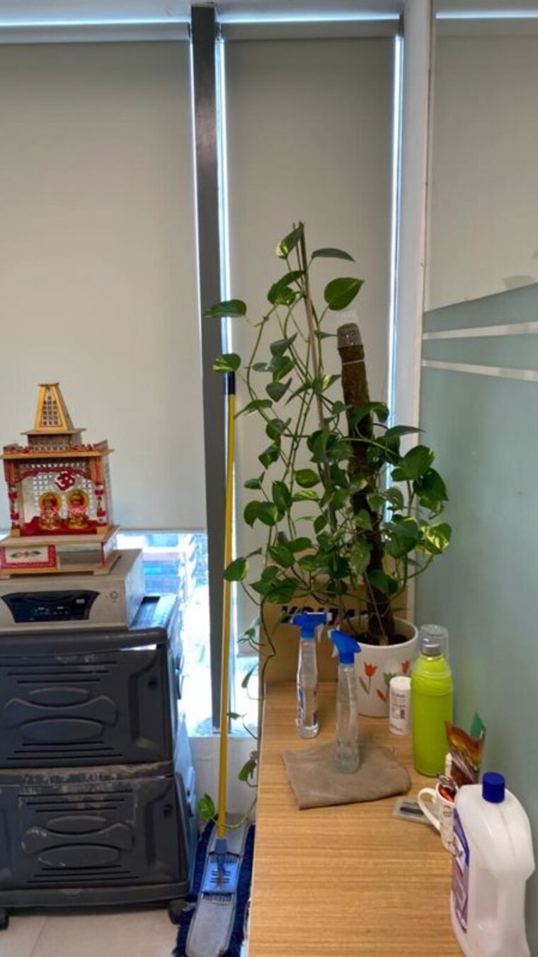 Common Area, sector 82 Commercial Office Space 690 Sq.Ft. In Sector 82 Noida 10379357