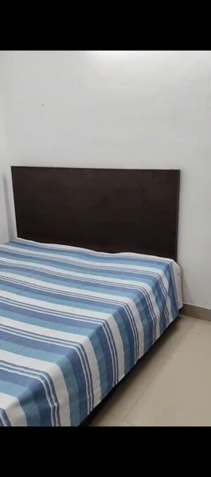 3 BHK Apartment For Rent in Adore Samriddhi, Sector 89