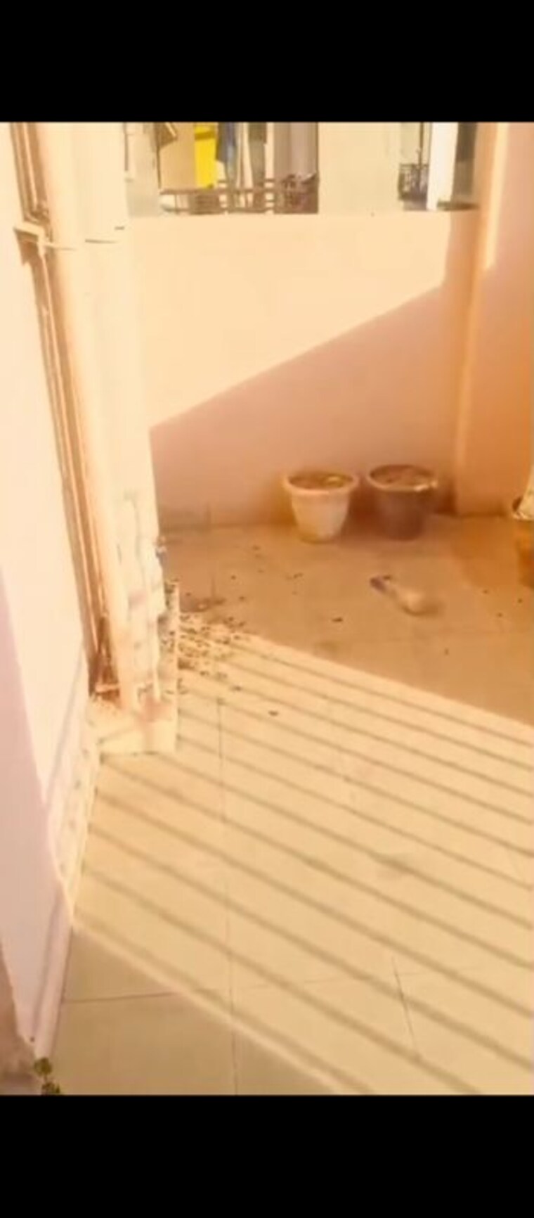 Bathroom, ajnara-le-garden 2.5 Bedroom 1140 Sq.Ft. Apartment In Sector 16b Greater Noida Greater Noida 10379732