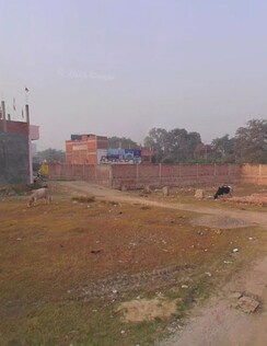 Plot For Sale in Ekta Nagar