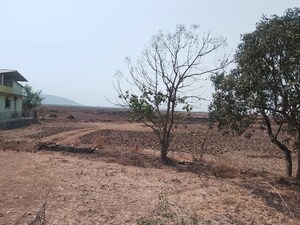 Plot Area in  Plot at Adai – for Sale