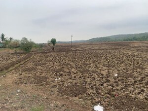 Plot Area in  Plot at Vindhane – for Sale