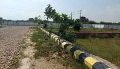Plot For Sale in Maulviganj