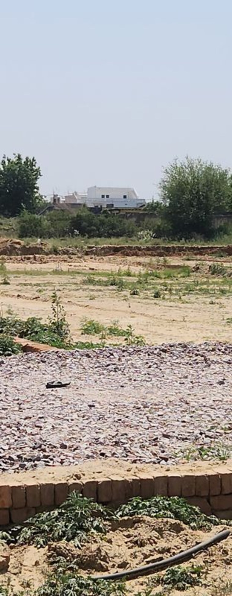 undefined, bernard-homes  900 Sq.Ft. Plot In Sector 17a Yamuna Expressway Greater Noida 10380128